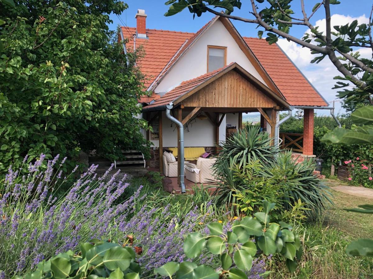 Szőlőskert Studio Apartman Ábrahámhegy Exterior foto