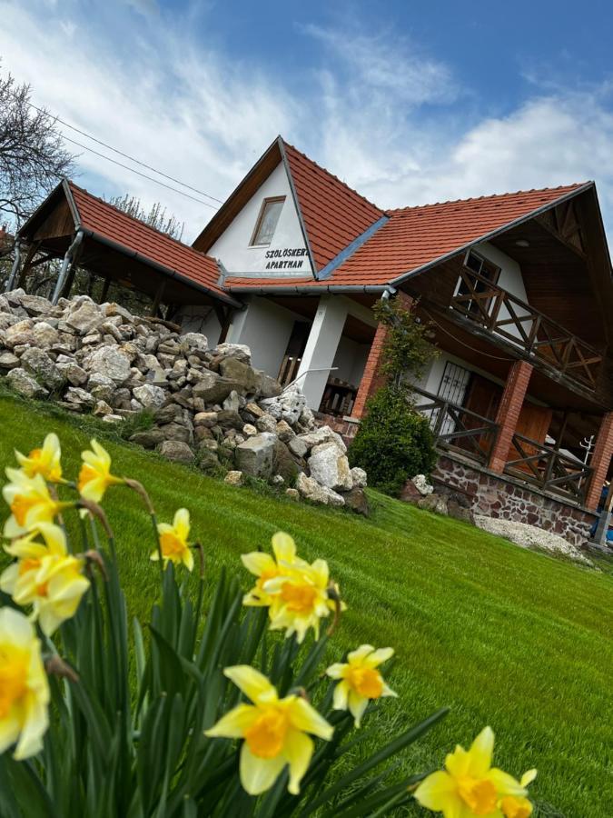 Szőlőskert Studio Apartman Ábrahámhegy Exterior foto
